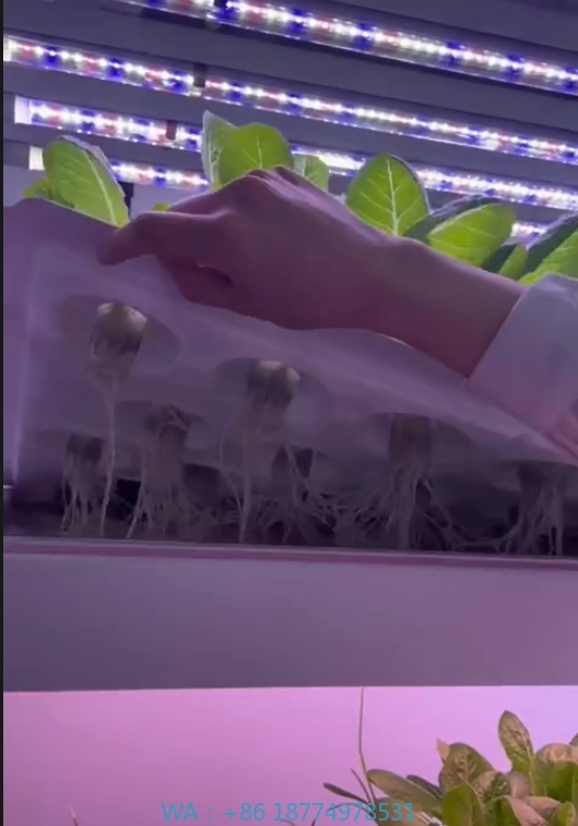 Agriculture Farming Systems - System hydroponiczny wieżowy do uprawy w