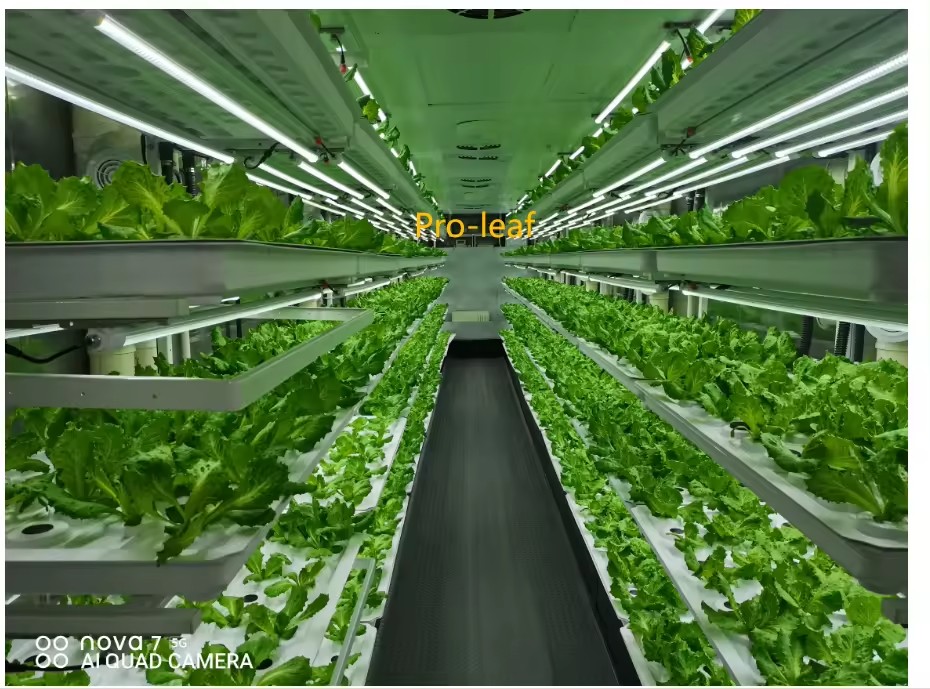 System hydroponiczny wieżowy d – Agriculture Farming Systems recenzja i cena