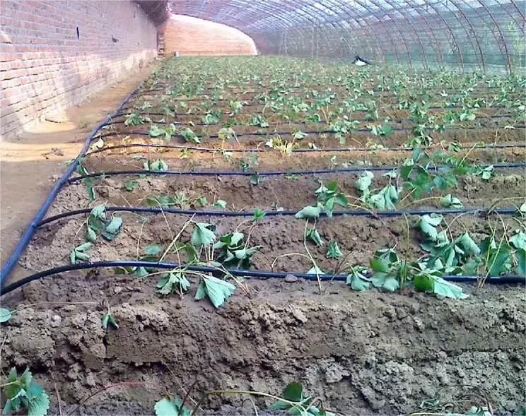 Zestaw do nawadniania 1HA, nar – Agriculture Farming Systems recenzja i cena