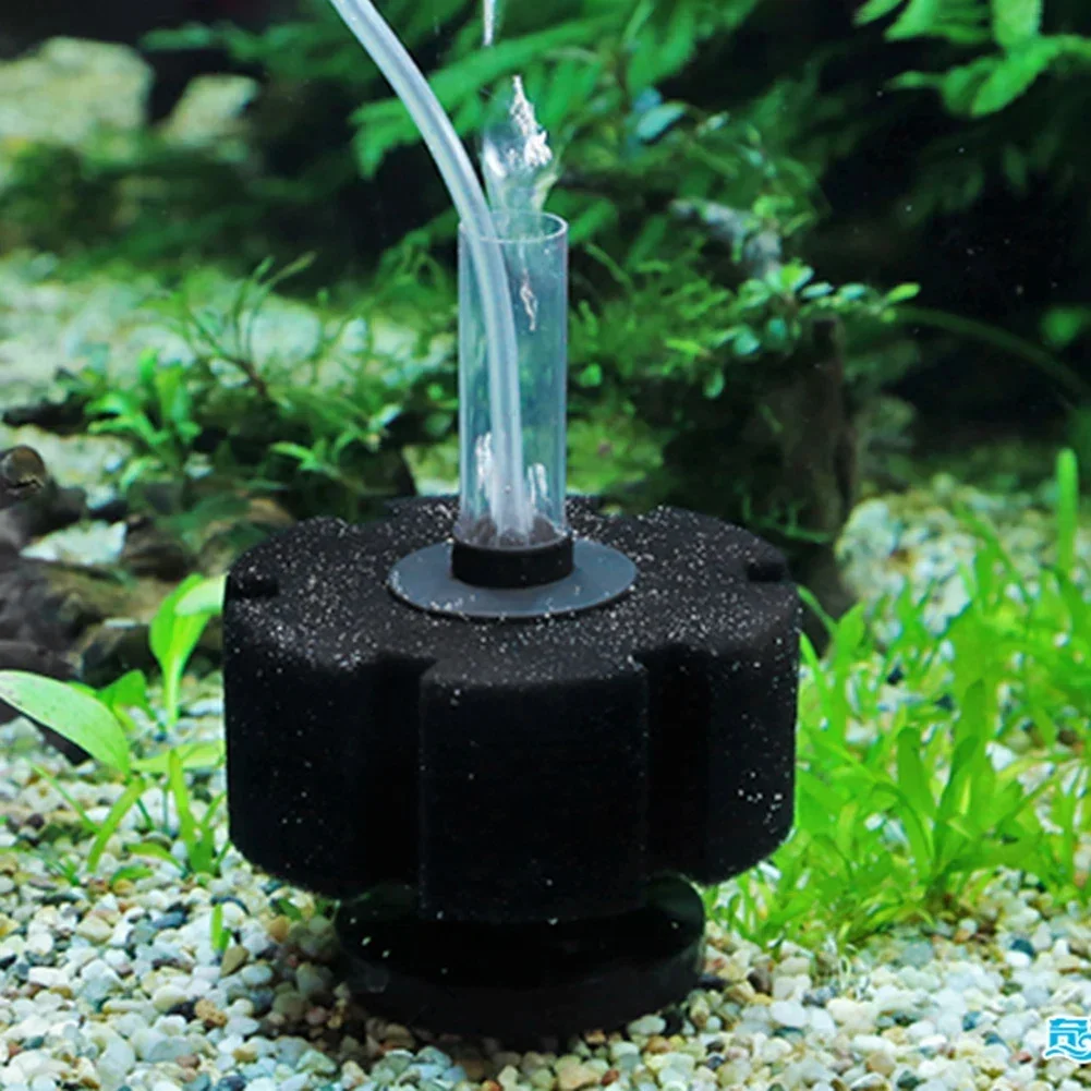 Gąbka filtracyjna do akwarium, – Aquaculture Aerator Pump recenzja i cena