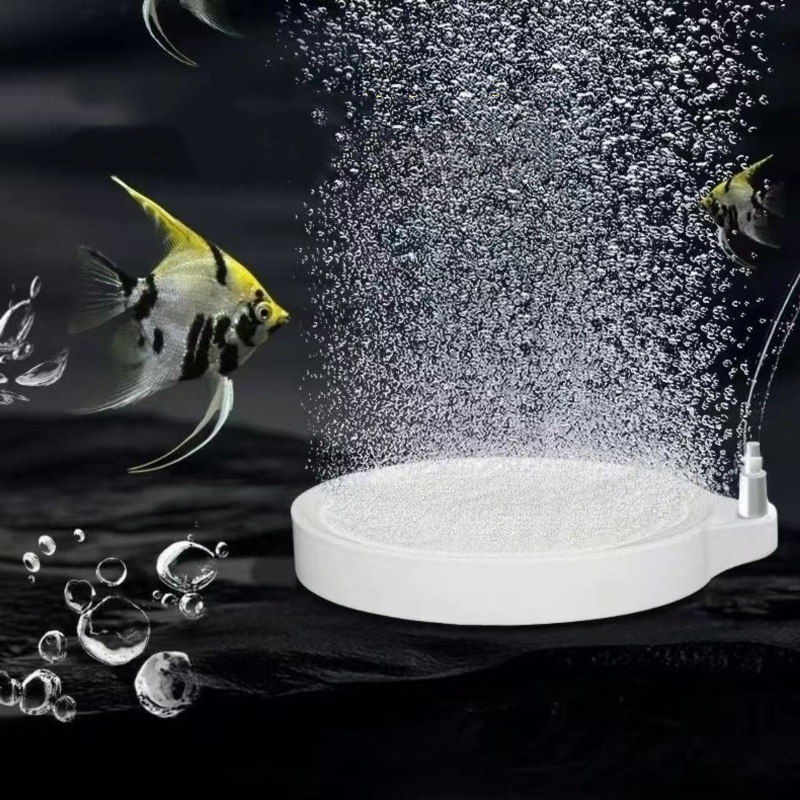 Nano Dysk Koralik Napowietrzaj – Aquaculture Aerator Pump recenzja i cena
